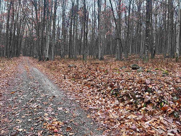 3rd image of White Farm Dr