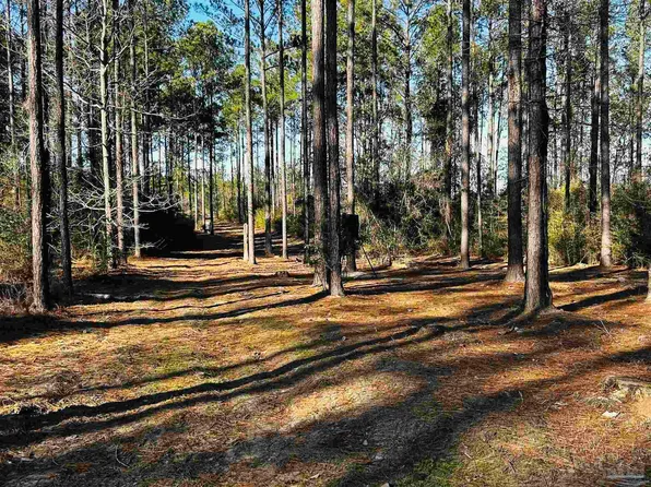 LOT 406 Country Mill Rd, Jay, FL 32565