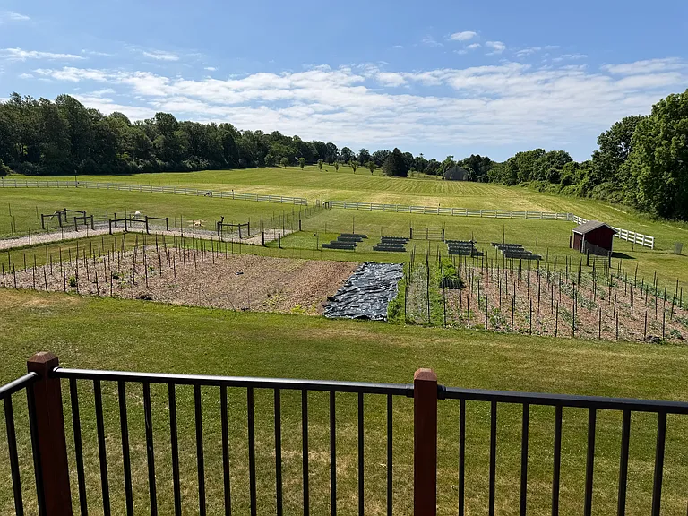 View from Deck off Great Room
