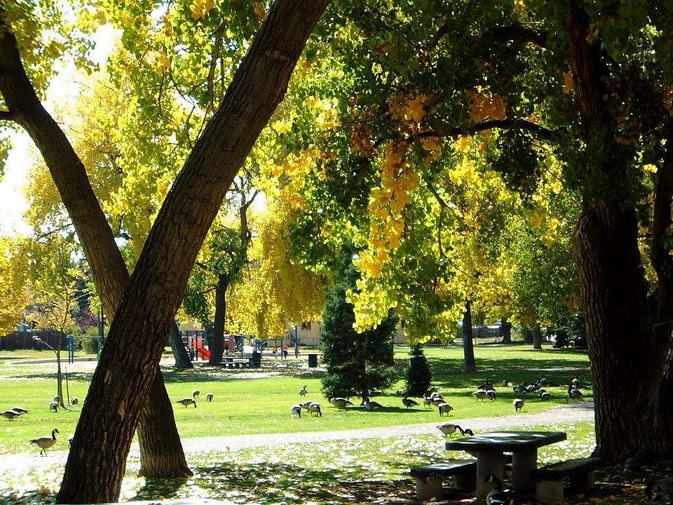 Harvey Park