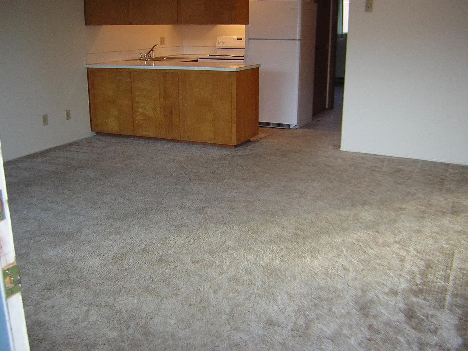 1 bed, 700 sqft, $1,195 — Photo 3