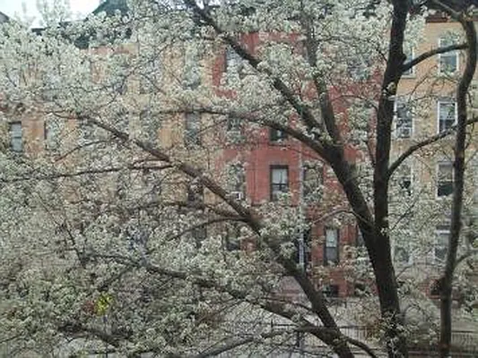 Sold by Corcoran | media 10