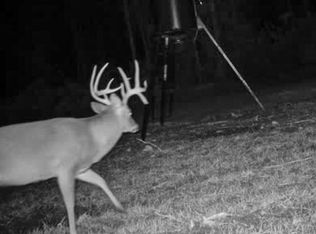 Mount Pleasant Rd, Noxapater, MS 39346