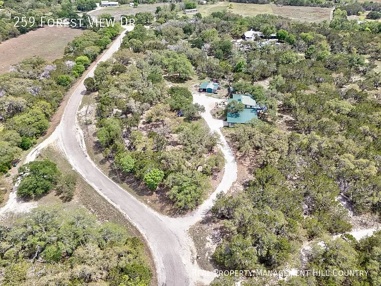 259 Forest View Dr — Photo 13