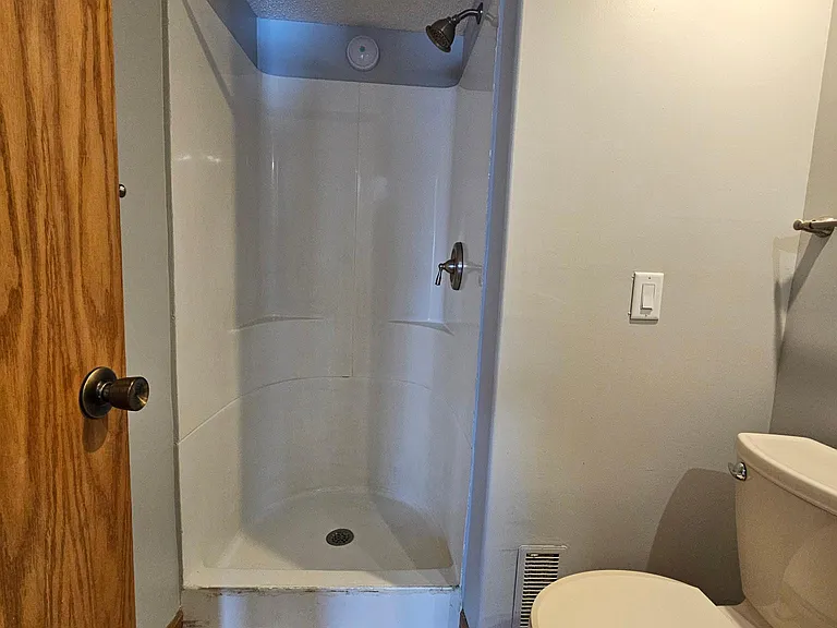 Lower level bathroom