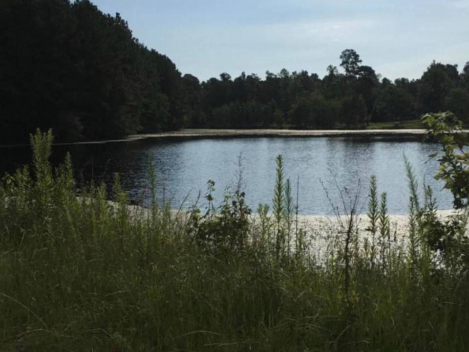 2nd image of Sapling Ln
