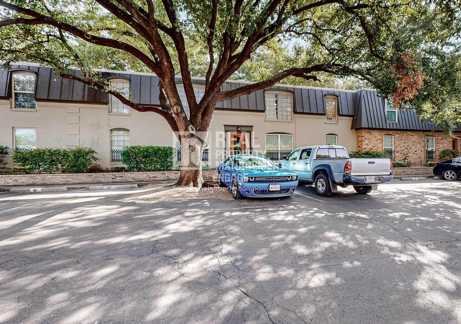 Updated 2-Bedroom Condo for Rent in Prime Dallas Location! — Photo 3