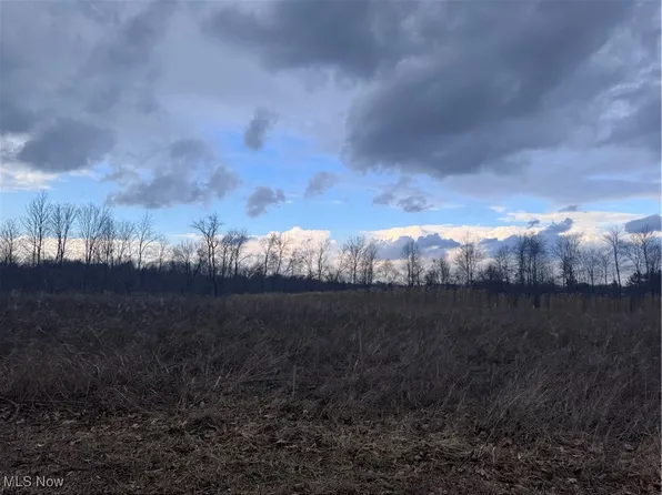 Cutler Lake Rd, Blue Rock, OH 43720
