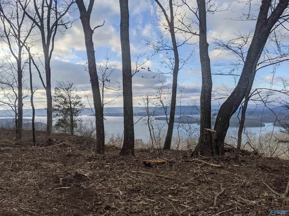 Moss View Rd, Section, AL 35771