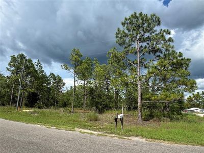 0 Guava Pass #18, Ocklawaha, FL, 32179