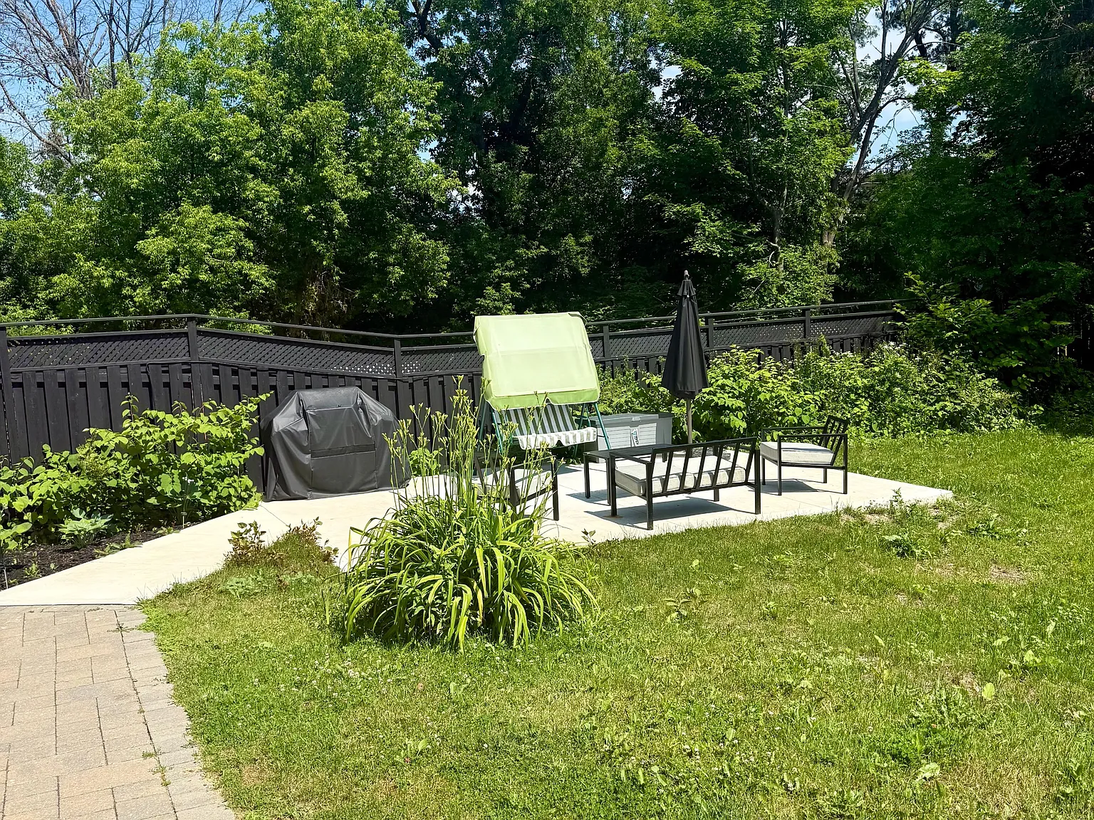 1 bed, $1,450 — Photo 2