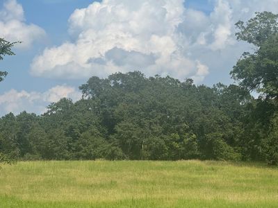 0 Hall Rd, Tifton, GA, 31793