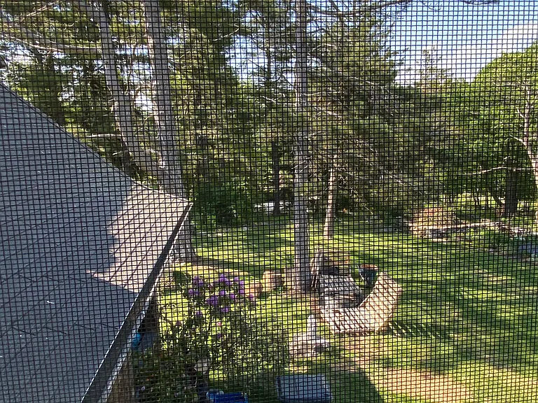 58 Mountain Rd — Photo 15