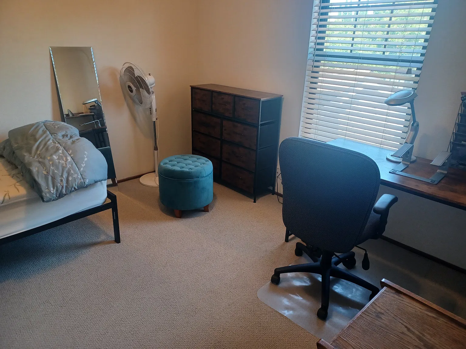 2414 Amapola Dr — Photo 3