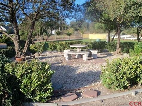 Outdoor courtyard for entertaining
