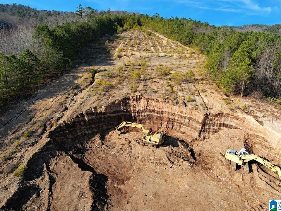 2393 State Highway 11 3308280000, Collinsville, AL 35961 MLS