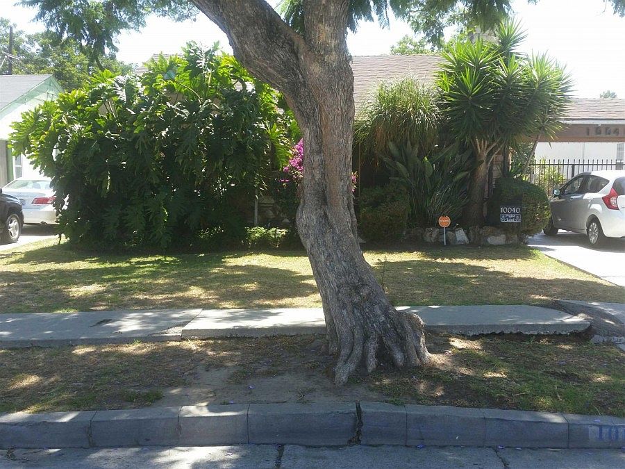 1st image of 10040 S Harvard Blvd