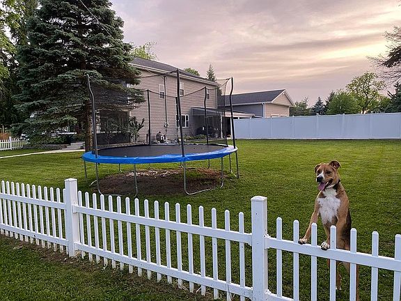 Side yard 