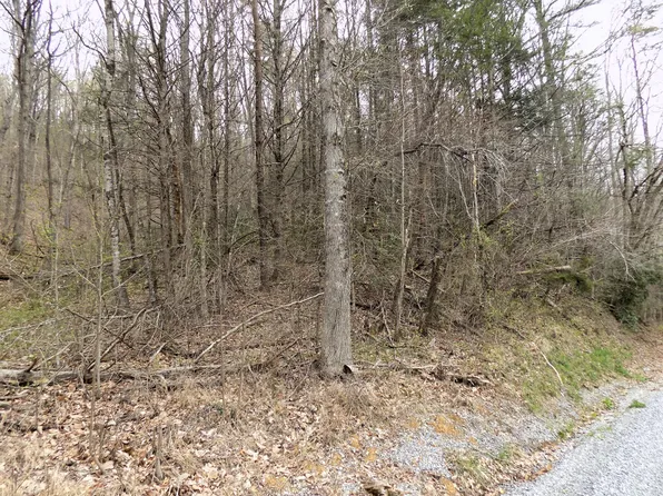 188 Deerfoot Rd, Cosby, TN 37722
