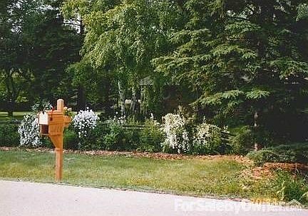 Front yard view from Fairy Chasm Road