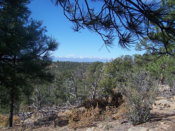 5th image of Spanish Highlands