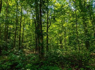 Abels Valley Rd, Rockwood, TN 37854