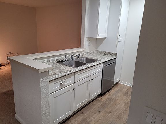 Kitchen sink / counter: Dishwasher, garbage disposal, and floor