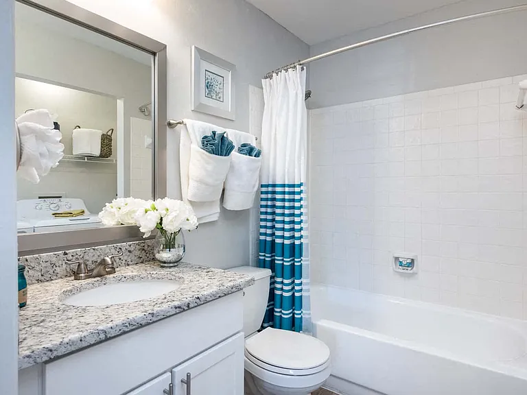 Aspen floor plan bathroom 2x2 950 sq ft