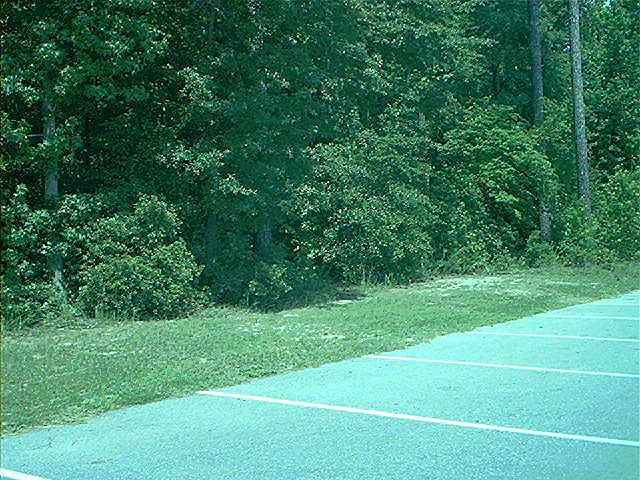 2nd image of Off Farmers Camp Rd