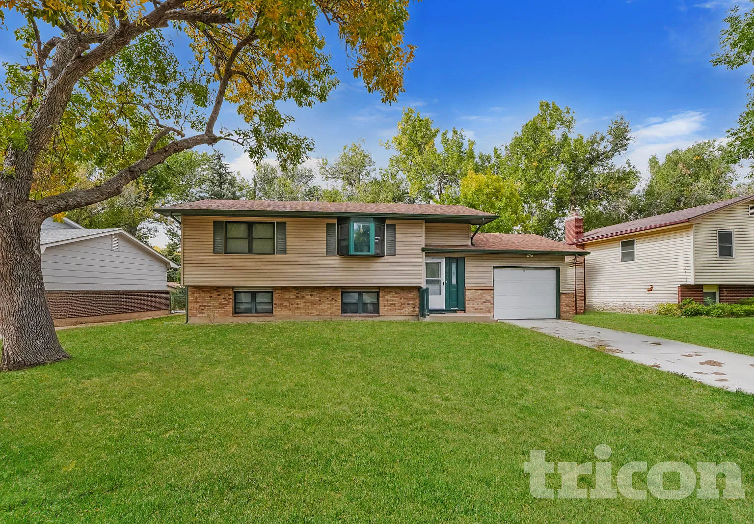 1006 De La Vista Place Colorado Springs CO — Photo 1
