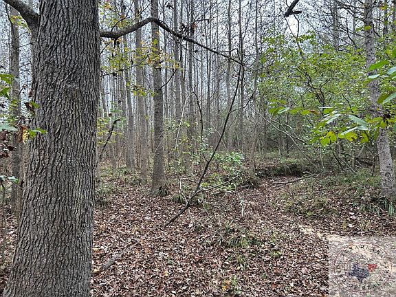 3rd image of 1485 County Road 4683