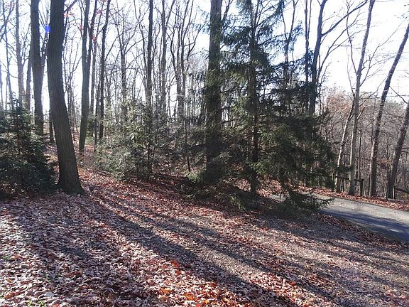 Views from Front Porch