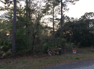 14 Mayten Ct W, Homosassa, FL 34446