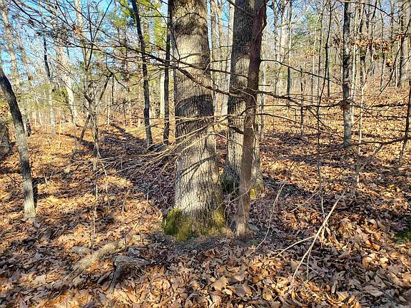 2nd image of 15776 Highway 74 E Tract 1