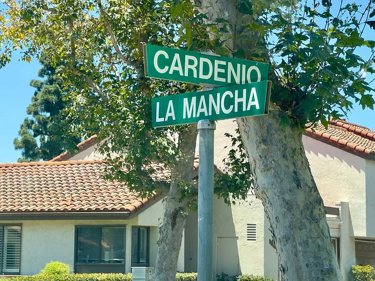 26531 Cardenio — Photo 24