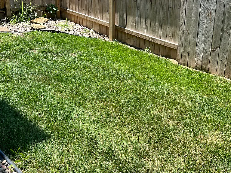Yard leading to the gate
