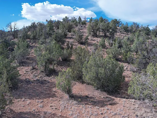 52471 N Camino Gato, Seligman, AZ 86337