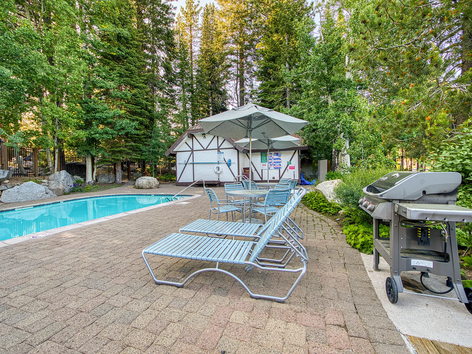 2 bed, 900 sqft, $6,000 — Photo 2