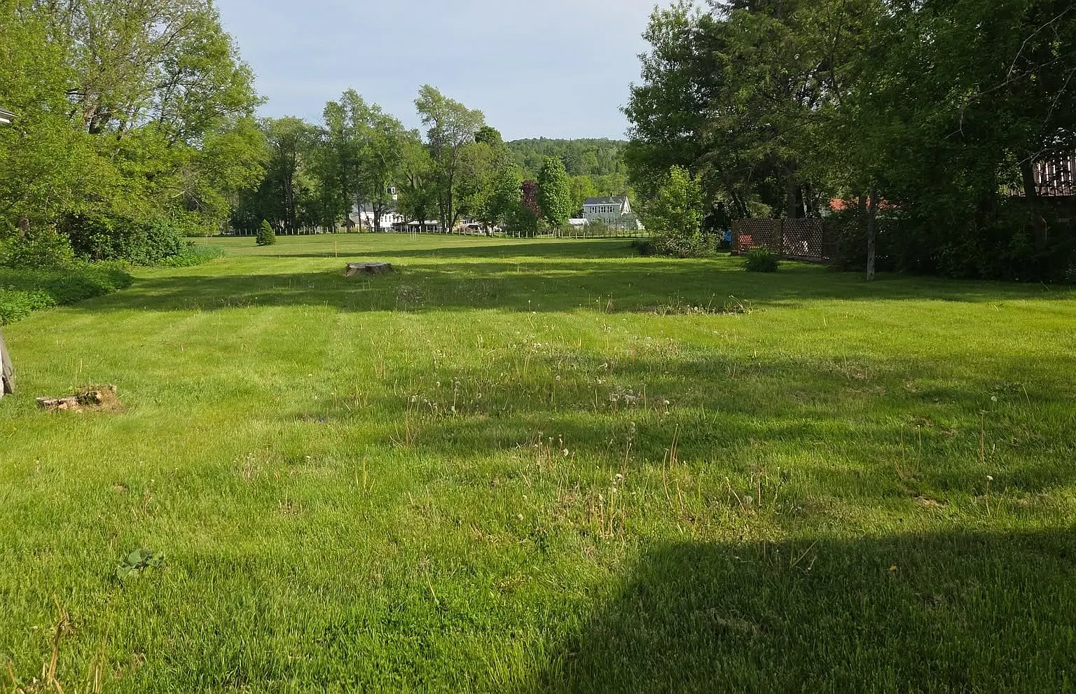 3 bed, $1,300 — Photo 3