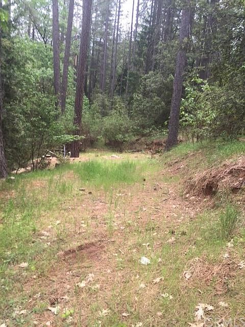 1st image of 16 Ponderosa Way