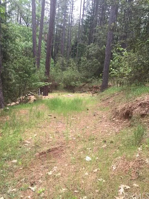 16 Ponderosa Way photo 1