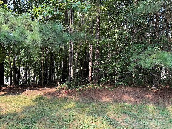 5th image of 2347 Capes Cove Dr