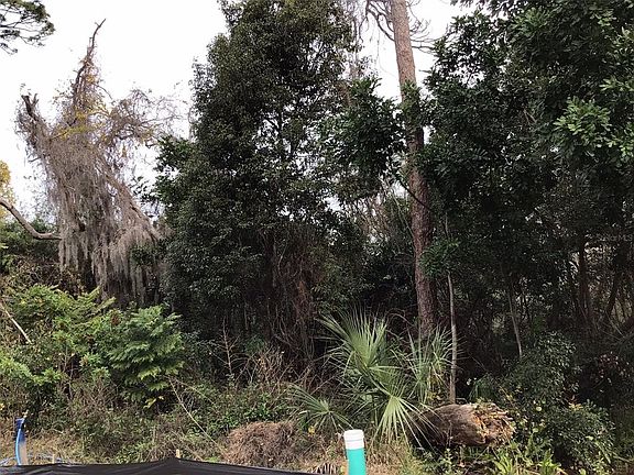 2nd image of 1305 ALMARIA COURT LOT 0040