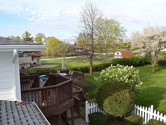 back yard 2