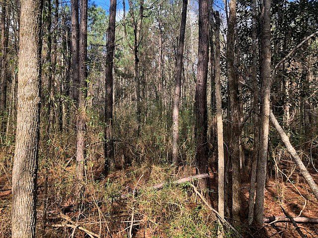 2nd image of 5295 Meadville Rd