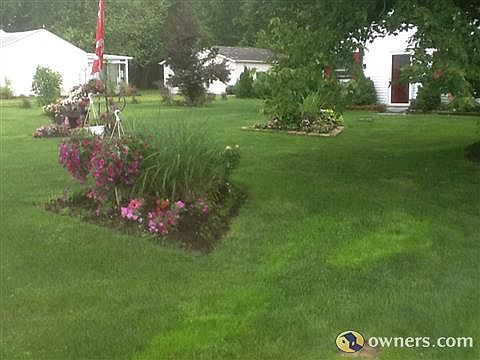 Front yard/landscape