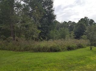 47 SW 165th St, Newberry, FL 32669