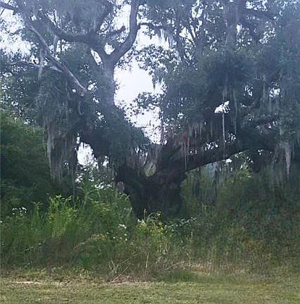 5th image of 20535 Carpenter Rd