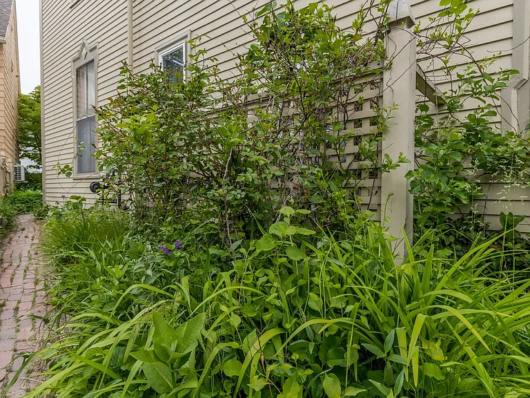 256 Vaughan St — Photo 44
