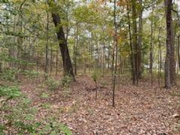 3rd image of Cedarwood Trl